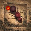 唐心是什么小说手机版